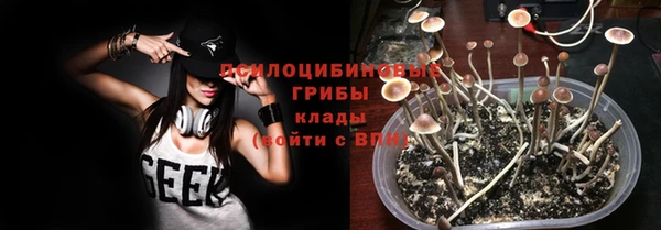 мет Белокуриха