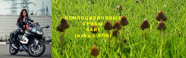 мет Белокуриха