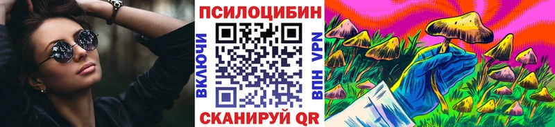 Галлюциногенные грибы мицелий где купить Кондопога